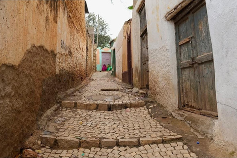 From Addis Ababa: 8-Day Danakil, Awash & Harar Safari