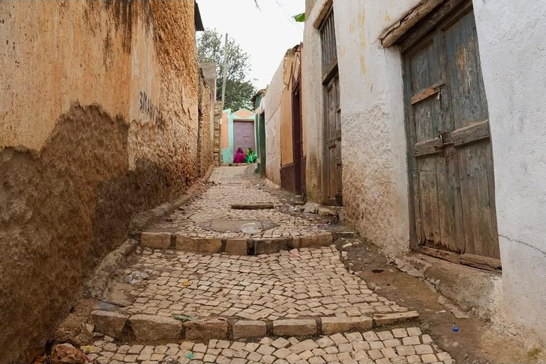 From Addis Ababa: 8-Day Danakil, Awash & Harar Safari