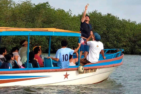 Mangrove Mysteries - Puerto Pizarro Tour