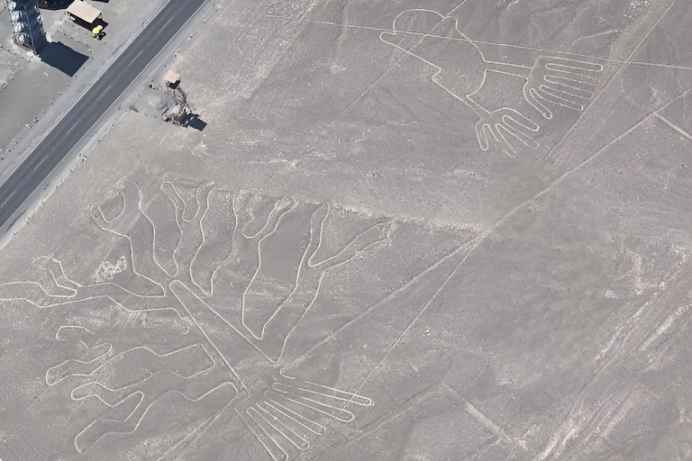 Desde Nazca: Sobrevuelo en las Líneas de Nazca