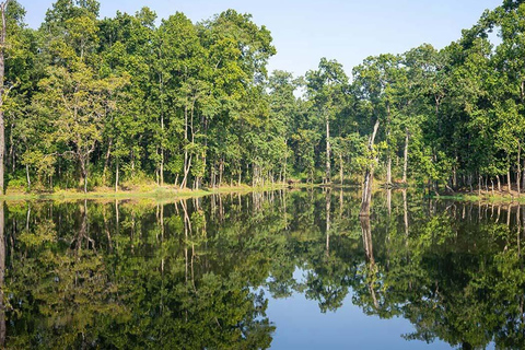 2 Nacht 3 Dagen Chitwan Nationaal Park/Vanuit Kathmandu/Pokhra2 Nacht 3 Dagen Chitwan Nationaal Park | Kathmandu of Pokhara