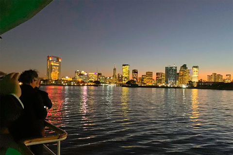 布宜诺斯艾利斯：含开放式酒吧的拉普拉塔河日落巡游1 小时游览