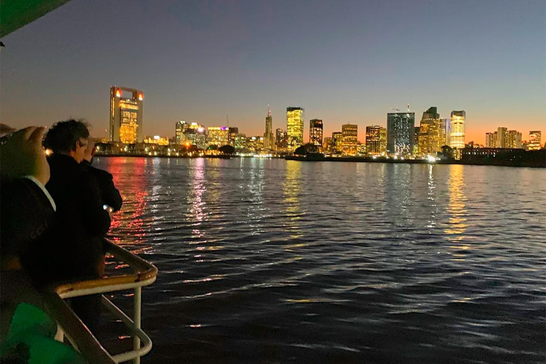 布宜诺斯艾利斯：含开放式酒吧的拉普拉塔河日落巡游1 小时游览