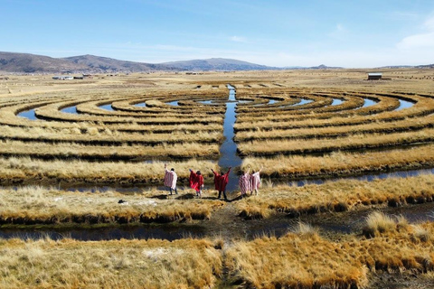 Puno: Full Day Aymara Route + Little Rome America + Spanish/English Tour Guide