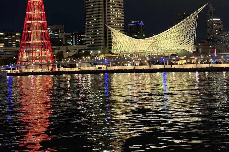 Kobe to Osaka: One night, two cities, endless adventure