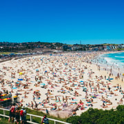 Sydney Harbour & Bondi: Morning Highlights with Breakfast Sydney Harbour & Bondi: Morning Highlights with Breakfast