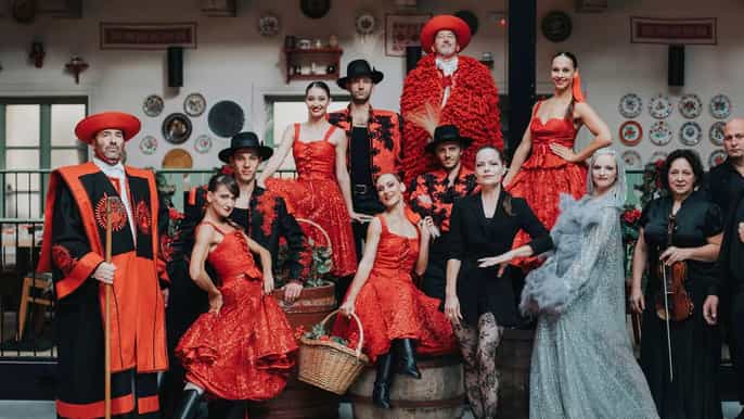 Budapest: cena con espectáculo folk, música en directo y vino ilimitado