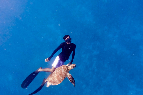 Prywatny snorkeling z żółwiem i romantycznym posągiem