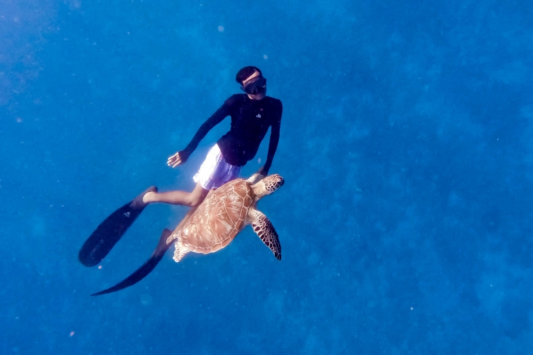Privé snorkelen met schildpad en romantisch standbeeld