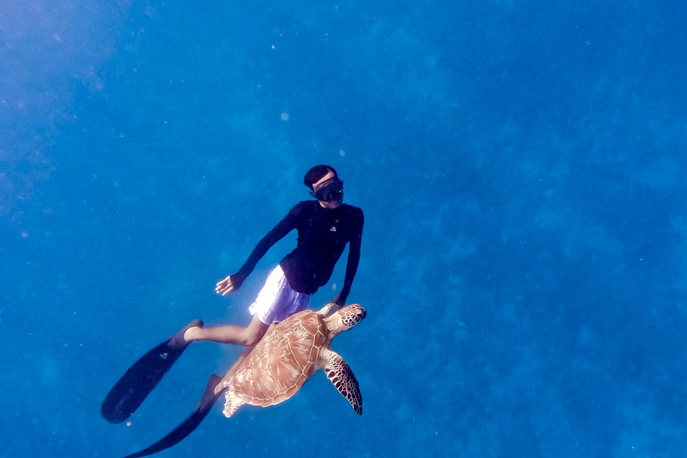 Privé snorkelen met schildpad en romantisch standbeeld