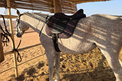Muscat: Desert Safari, Quadbike, Horse Ride & Sunset Tour