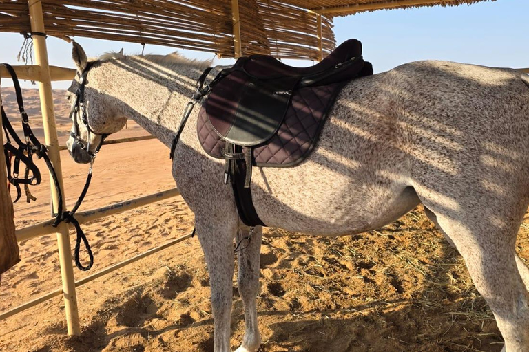 Muscat: Desert Safari, Quadbike, Horse Ride & Sunset Tour