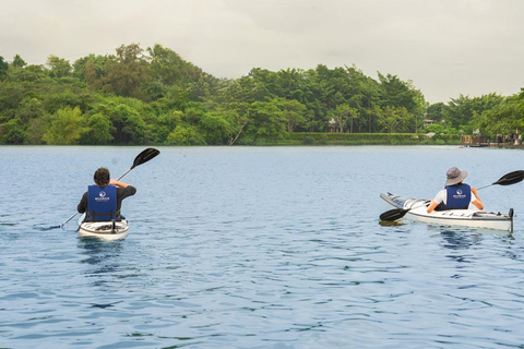 Colombo: Diyawanna Lake Kayaking Experience Single Kayak