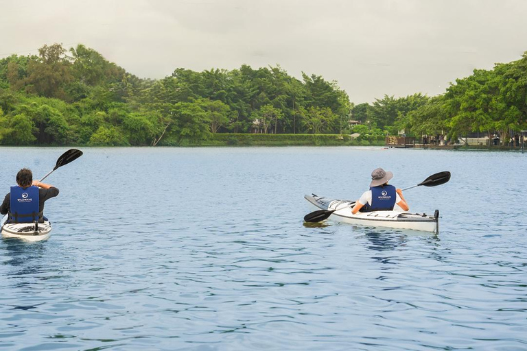 Colombo: Diyawanna Lake Kayaking Experience Single Kayak