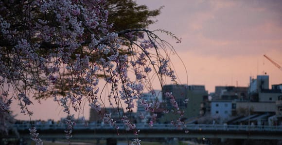 Kyoto Night Tour: Between Light and Shadow (English and Italian)