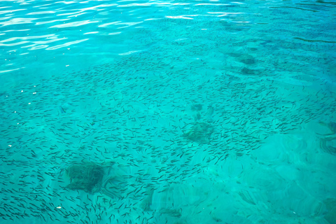 Phuket : excursion en hors-bord aux îles Racha et Coral avec déjeunerOption de lieu de rendez-vous