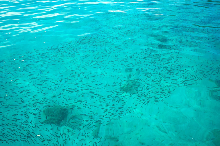 Phuket : excursion en hors-bord aux îles Racha et Coral avec déjeunerOption de lieu de rendez-vous