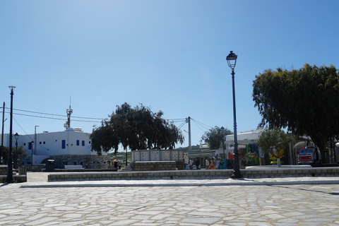 Private Island Tour: A Drive Around Mykonos' highlights