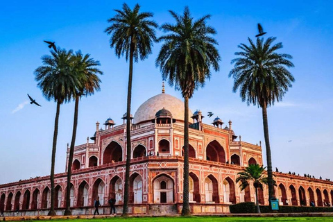Delhi: Skip-the-Line Humayun's Tomb Tour with Hotel Pick Up Only Professional Tour Guide