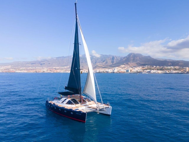 Only adults Costa Adeje Exclusive Cat 3 hrs. Whales Dolphins
