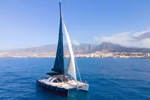 Costa Adeje Exclusief Cat 3 uur Reis Walvissen en Dolfijnen