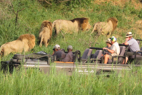 Johannesburg Safari Day Tour - Pilanesberg Big 5 Adventure