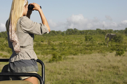 From Zanzibar:Mikumi Safari Day Trip with Flights and Lunch