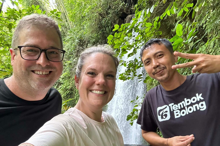 Ubud: Private Half-Day Tour Rice Terrace, Temple & Waterfall Private Ubud Half-Day Tour (Without Entrance Ticket)