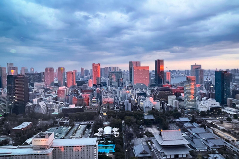 Passeio pelos destaques de Tóquio: Sumô, Sushi, Chá e Torre de Tóquio