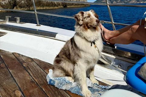 Can Picafort: Boat Trips along Mallorca's North Coast Cap Menorca