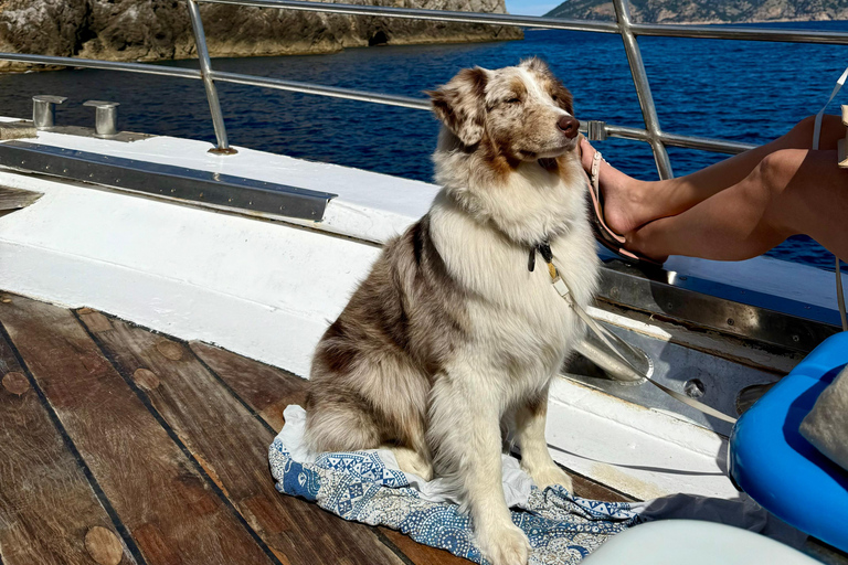 Can Picafort: Boat Trips along Mallorca's North Coast Cap Menorca