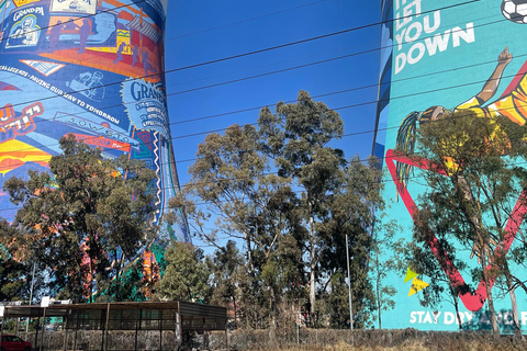 Soweto Soul &amp; Apartheid Echoes Half-Day Tour