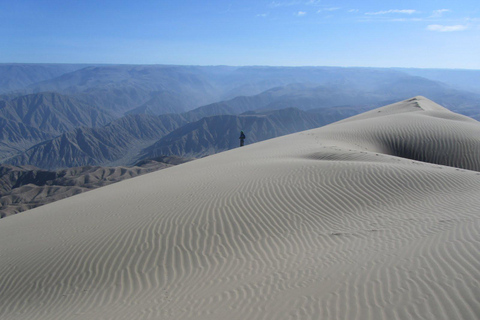 From Nazca : excursion to San Fernando bay + sandboarding