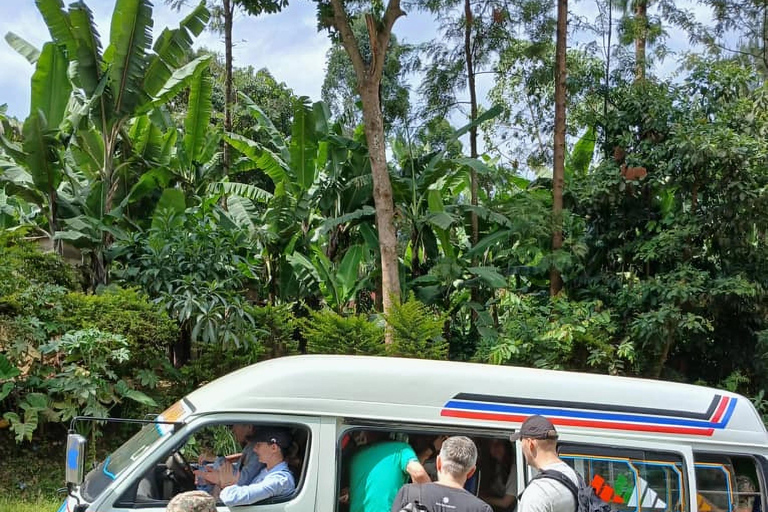 Arusha: Tagestour zu den Kikuletwa-HeißquellenArusha: Tagestour zu den heißen Quellen von Kikuletwa