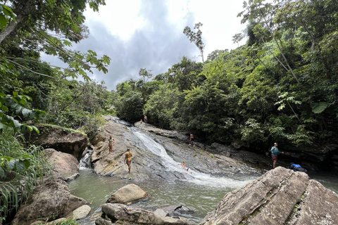 El Yunque Rainforest & Old San Juan Tour