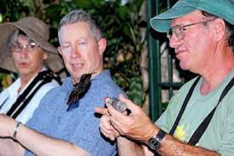 Montego Bay: excursion privée dans le sanctuaire d'oiseaux de Rocklands