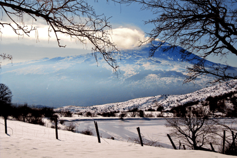 Desde Malta: Excursión de un día al Etna y Siracusa con guíaMT. Etna y Siracusa