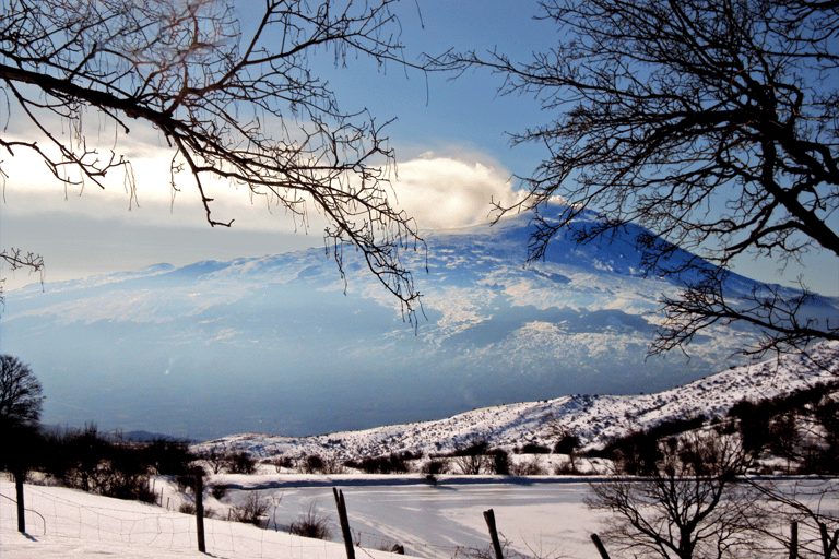 De Malta: Viagem de 1 dia ao Monte Etna e Siracusa com guiaMT. Excursão Etna e Siracusa