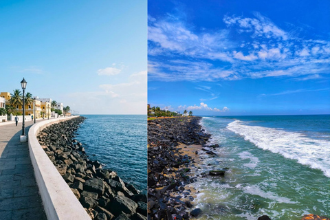 From Chennai: 12-Day Private Tour to Cochin with 3-Star Stay Chennai to Cochin 12 Days Private Tour with 3* Hotels