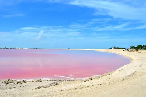Rio Lagartos : Merveilleuses eaux roses et tour en bateau