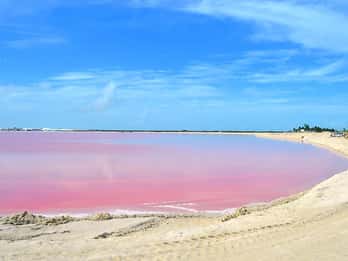Río Lagartos: Maravillosas aguas rosadas y paseo en barco