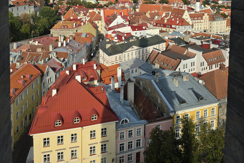 Helsinki: nach Tallinn VIP-Tagestour mit Fähre und Tour