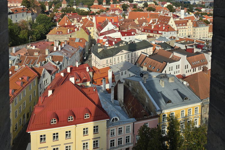 Helsinki: nach Tallinn VIP-Tagestour mit Fähre und Tour