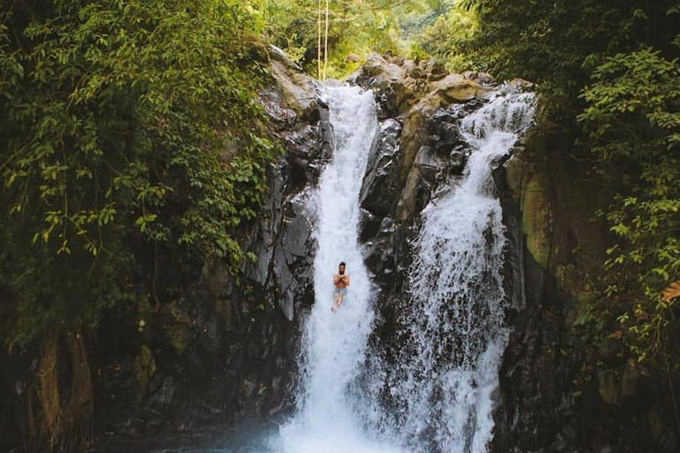 Munduk/Lovina: Waterfall, Snorkeling &amp; Dolphin Watching TourAll-Inclusive Tour with Hotel Transfer from Munduk/Lovina