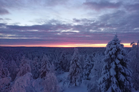 Rovaniemi: Dansa salsa under norrskenetRovaniemi: Salsadans under norrskenet