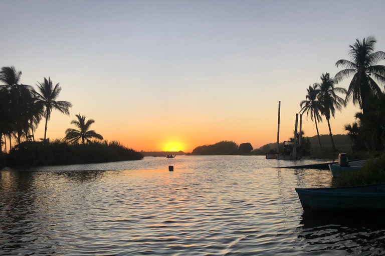 BIOLUMINESZENZ IN PUERTO ESCONDIDO