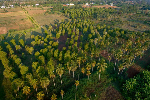 PARQUE NACIONAL DEL BOSQUE DE JOZANI Y GRANJA DE ESPECIAS