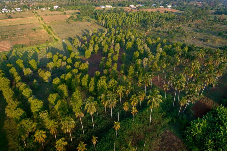 JOZANI FOREST NATIONAL PARK AND SPICE FARM