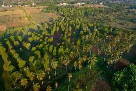 The spice farm and The city tour stone town