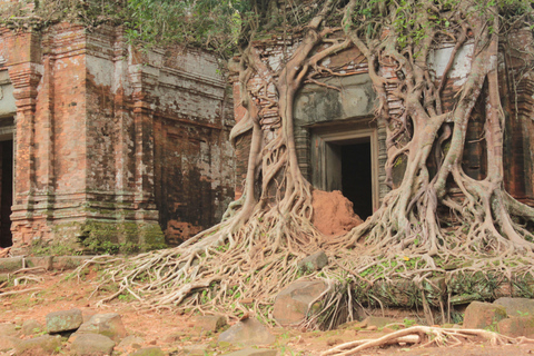 Desde Siem Reap: Excursión de un día a Beng Mealea y el Templo de Koh Ker